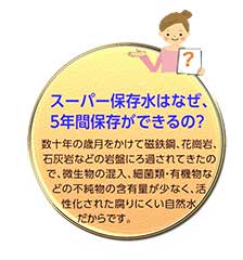 ring024.jpg(104825 byte)